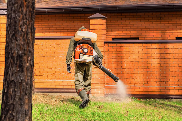 Trusted Emergency Pest Control service in Poteau, OK - Nex Pest Control